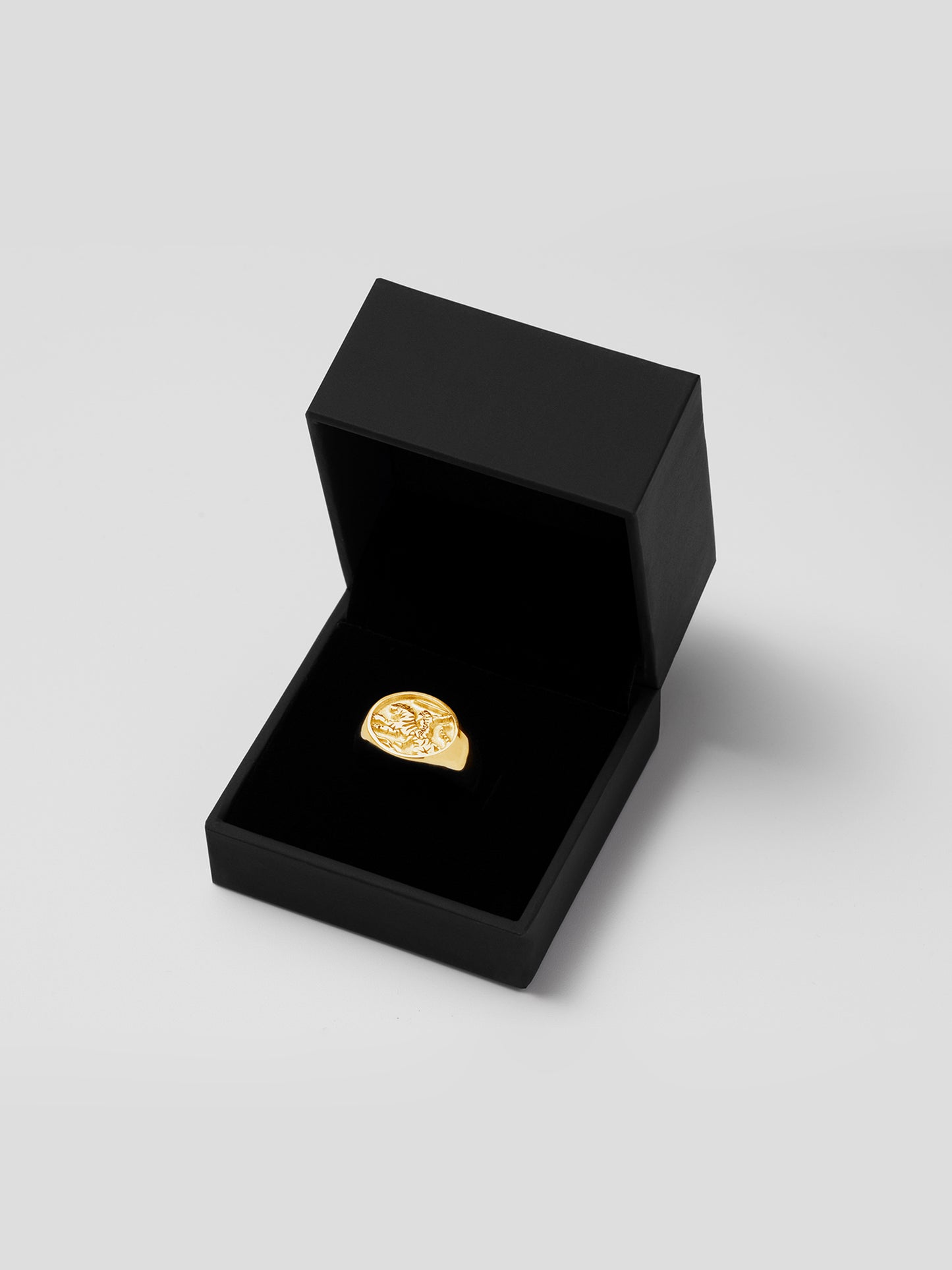 THE KNIGHT’S RING